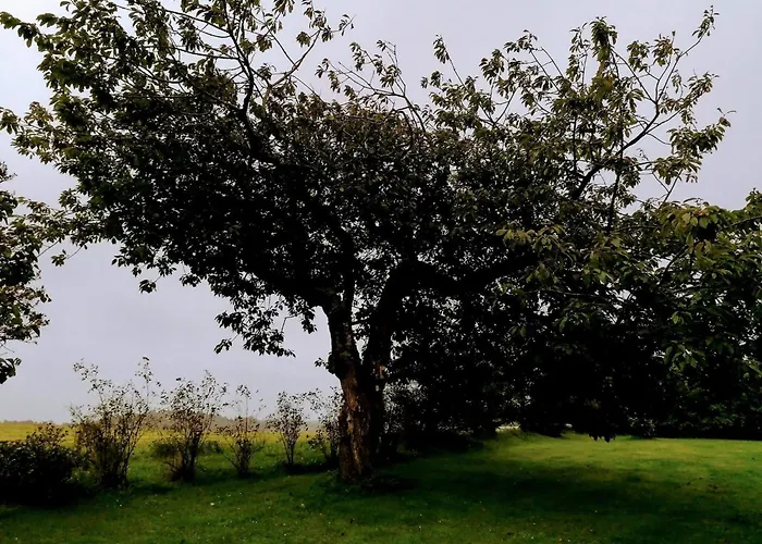 別荘 10 Person In Lokken-by Traum *